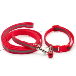 Traction collar set small and medium dog footprint cat dog leash rope T3-6